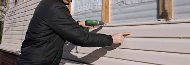 Best Storm Damage Siding Repair  in North Pearsall, TX